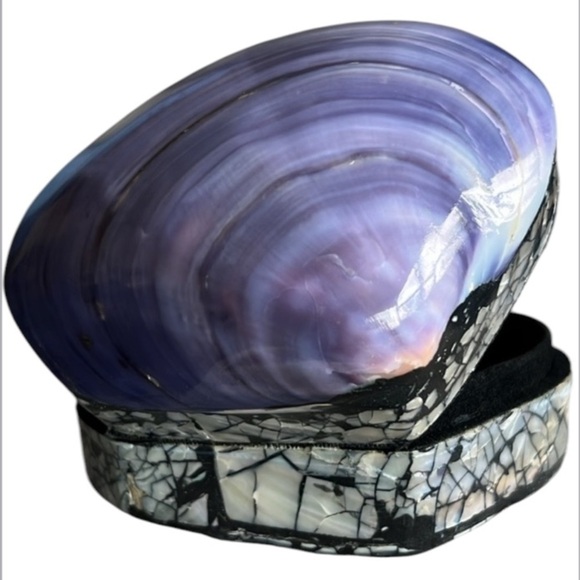 ๐ Beautiful Handmade Polished Purple Clam Shell Jewelry/Trinket Box - Picture 2 of 11